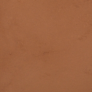 PAN11_1