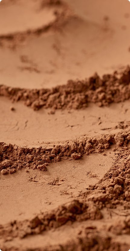 Cacao en polvo