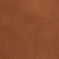PAN21_1