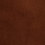 PAN21_2