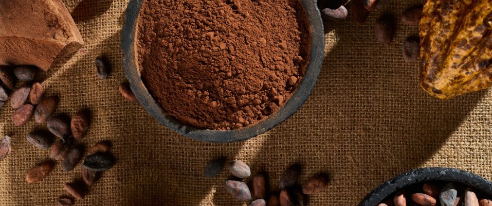 At Nederland, we view certifications as a natural outcome of doing things rigorously. They are not an end in themselves, but rather a way to validate our commitment to quality, food safety, sustainability, and traceability at every step of the process. Upon request, all our products can be delivered with Rainforest Alliance, Fairtrade, or Organic certification, among others.