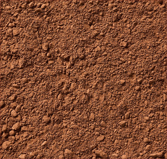 PAN21
