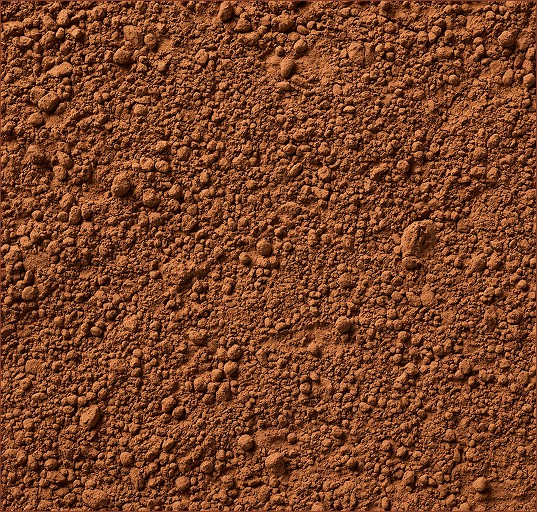 PAN11