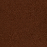 PAS16_2