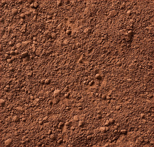PARR11
